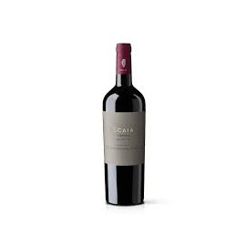 Corvina 2022 Igt Veneto...